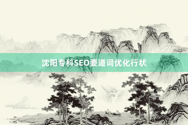 沈阳专科SEO要道词优化行状