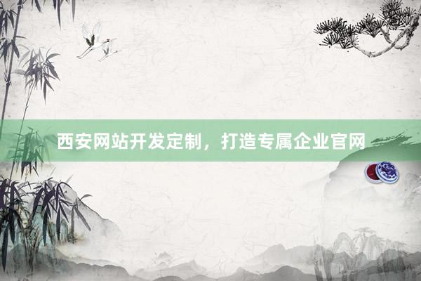 西安网站开发定制，打造专属企业官网